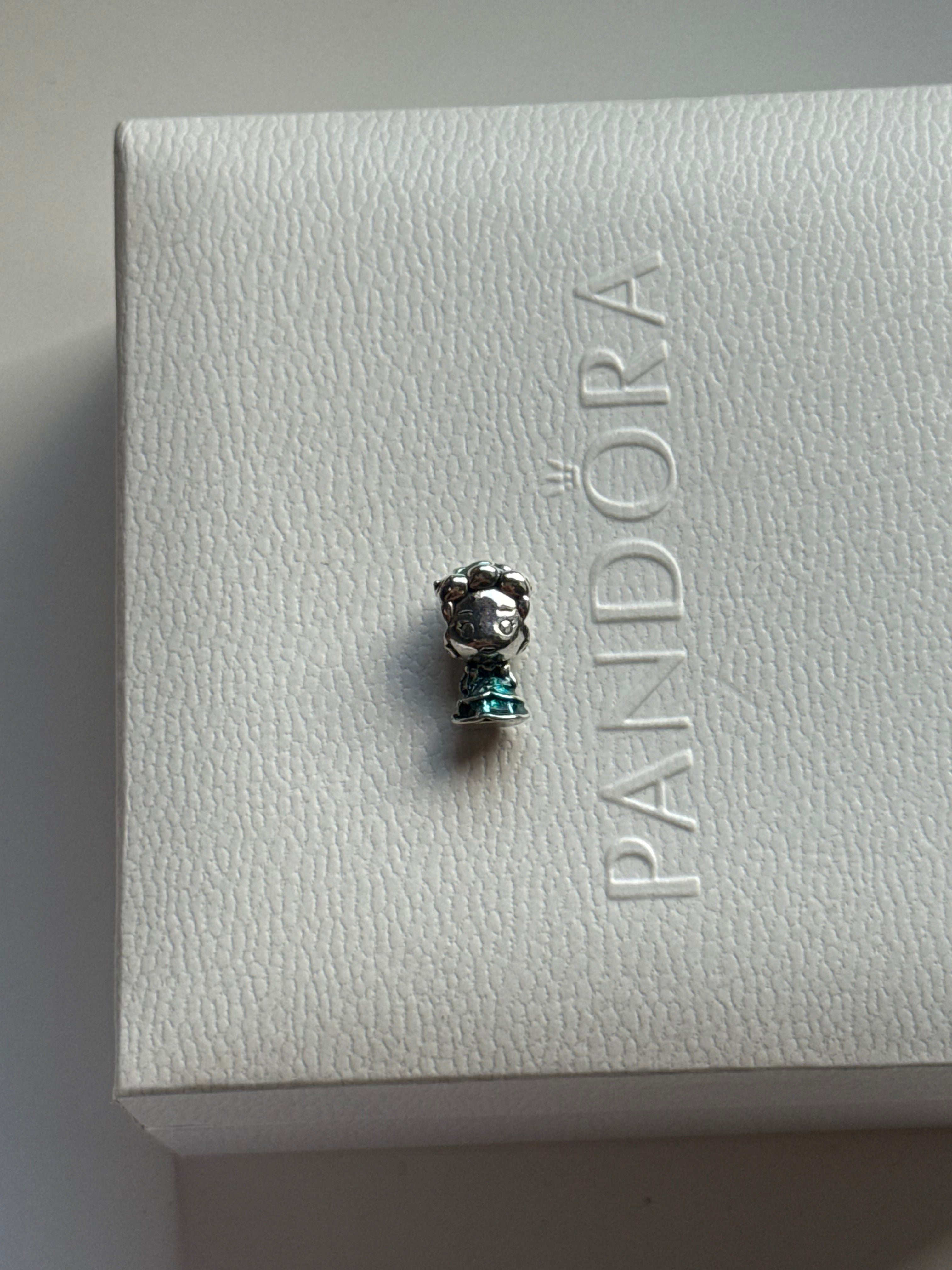 Charm princess Cinderella